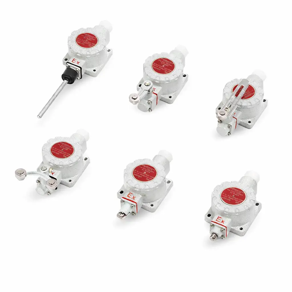 BLX5 explosion proof limit switch with multiple actuator types for hazardous industrial environments
