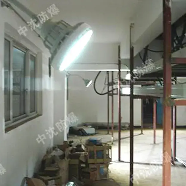 Explosion-Proof Lighting & Control System for Machinery Equipment Company
