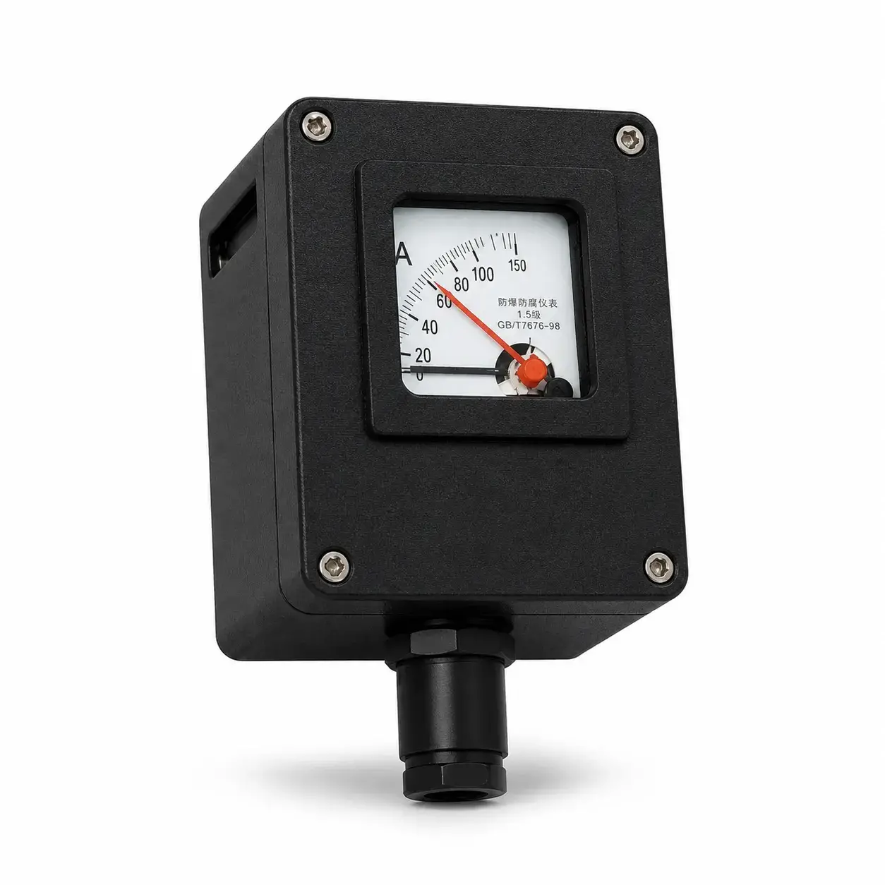 BYB8050 Explosion-Proof & Corrosion-Resistant Meter (IIC)