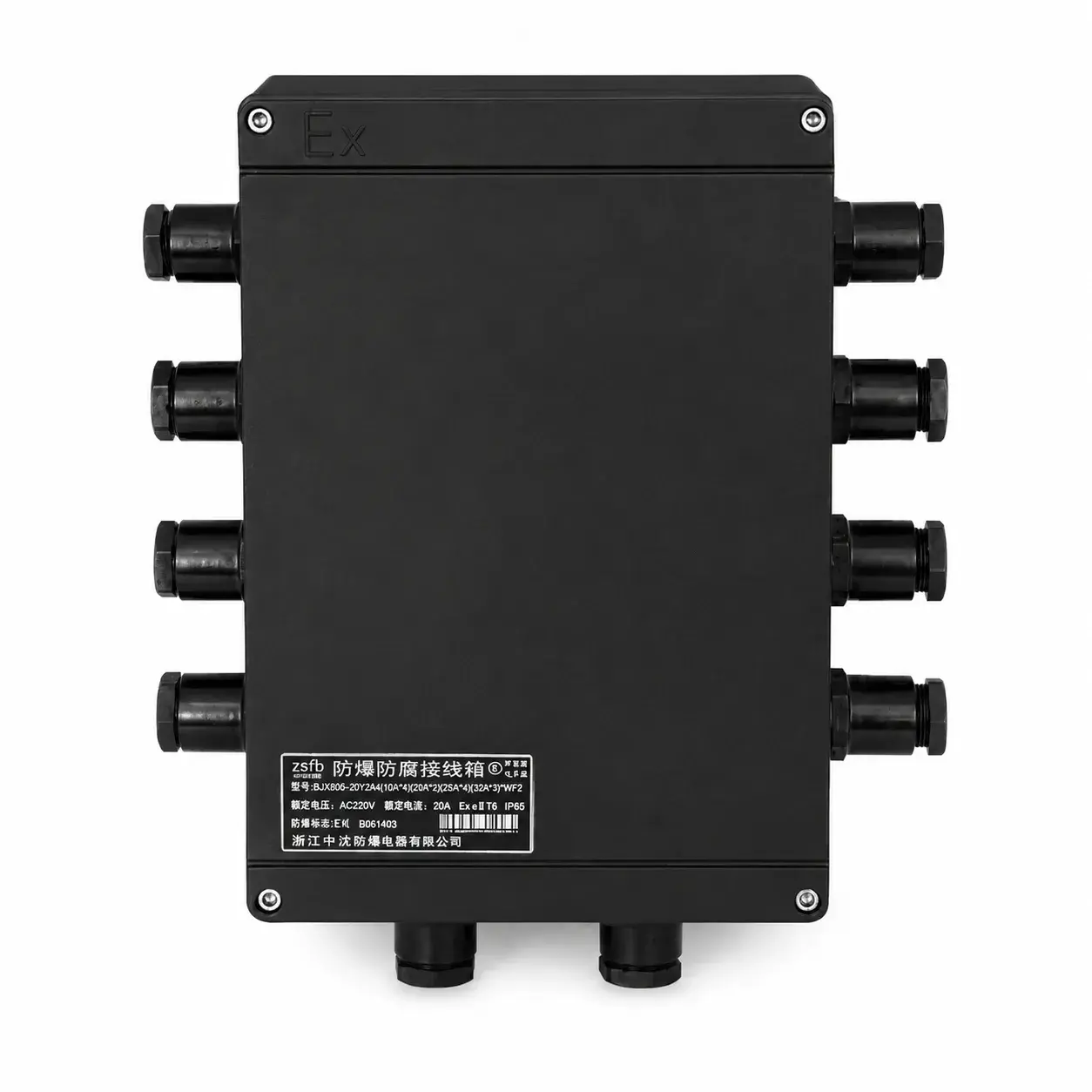 FXJ Waterproof Dustproof Corrosion-Resistant Junction Box